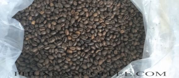 Cà phê hạt Culi rang mộc giá sỉ - Cà Phê Phú Xuân -  Hộ Kinh Doanh Cà Phê Kim Yến